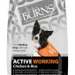 burns pet food active working