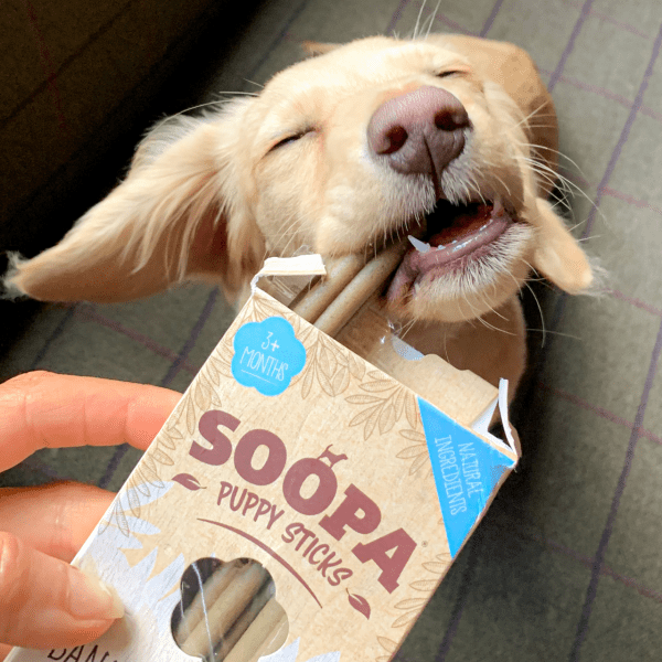 soopa dog pet food coconut chew