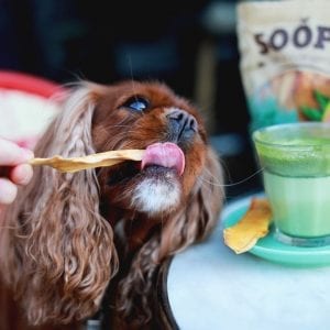 soopa dog pet food papaya