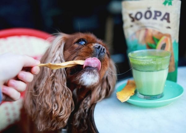 soopa dog pet food papaya