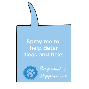 dog pet animal flea and ticks spray