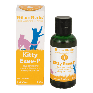 cat pet animal bottle health