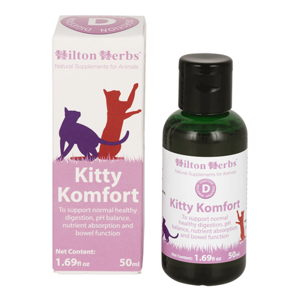 cat pet animal bottle health