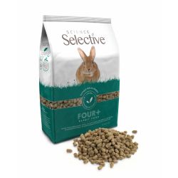 rabbit hare feeding food dry