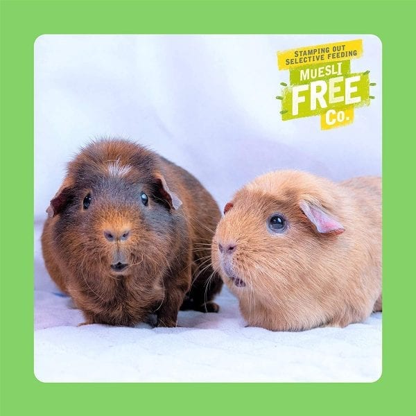 Burgess guinea pig clearance nuggets