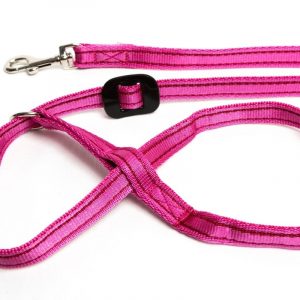 Clip to Collar Gencon Dog Headcollar - Image 3