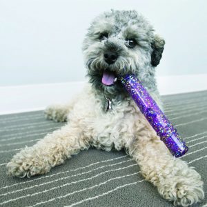 Kong Squeezz Confetti Stick - Image 2